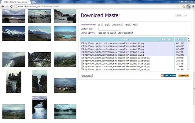 Download Master